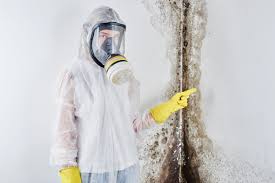 Best Asbestos and Lead Testing During Mold Inspection  in Prceton, IN